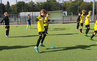 D3 mit Trainingsspiel gegen BMG Partnerverein Düsseldorfer SC West